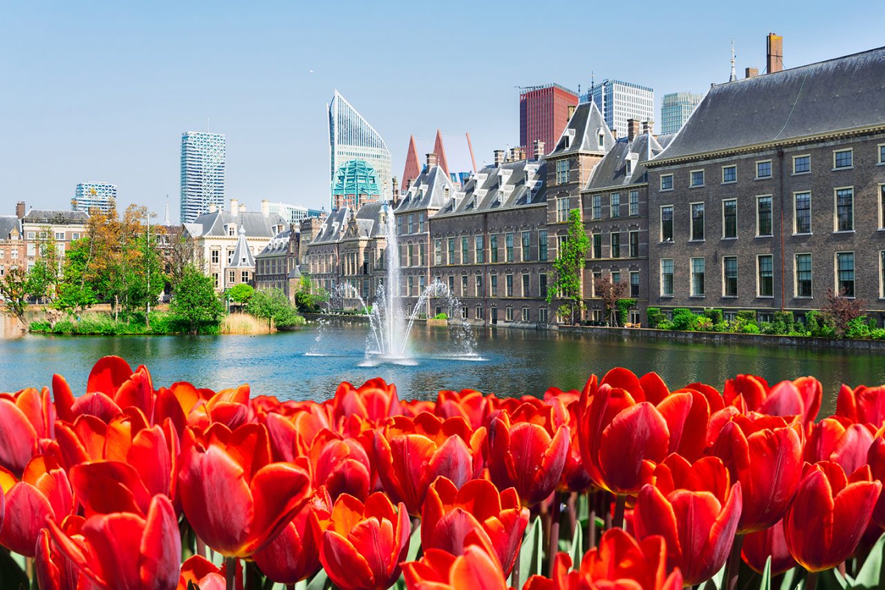 Mutual Evaluation Report of the Netherlands-2022