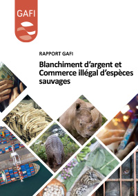 Blanchiment d'argent et commerce illégal d'espèces sauvages